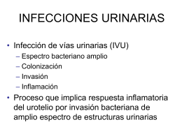 INFECCIONES URINARIAS