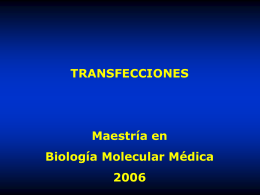 Clasetransfecciones 2006