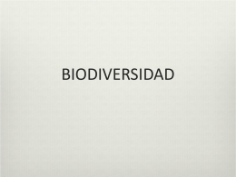 E_Biodiversidad 2013