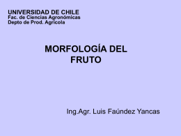 fruto - Universidad de Chile