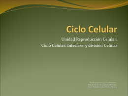 ppt 4 Ciclo Celula