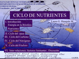 CICLO DE NUTRIENTES