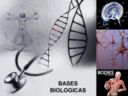 bases biologicas