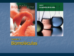 Biomoleculas
