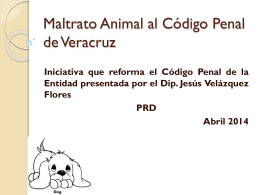 Maltrato Animal al Código Penal de Veracruz