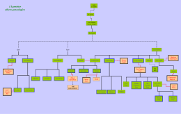 I Lannister albero genealogico
