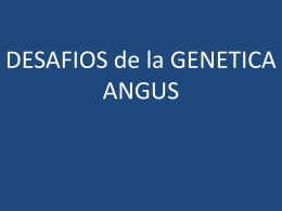 Desafíos de la Genética Angus. Dr. Ricardo Palma