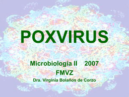 POXVIRUS