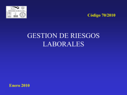 GESTION DE RIESGOS LABORALES - AURA-O