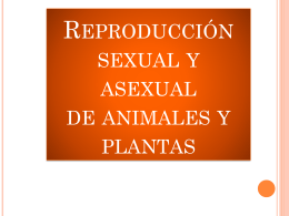 REPRODUCCION ASEXUAL DE LAS PLANTAS Y LOS ANIMALES