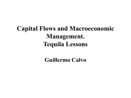 Capital Flows and Macroeconomic Management. Tequila Lessons