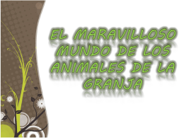 EL MARAVILLOSO MUNDO DE LOS ANIMALES