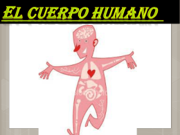 El cuerpo humano
