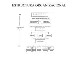 estructura organizacional