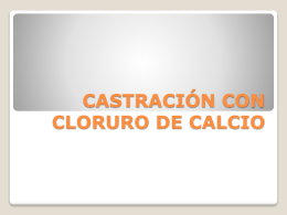 CASTRACIÓN CON CLORURO DE CALCIO – Dr. Billy Clay