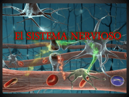 TEMA Sistema Nervioso