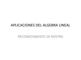APLICACIONES DEL ALGEBRA LINEAL