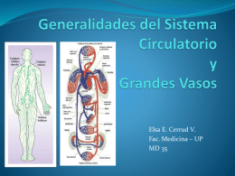 Generalidades del Sistema Circulatorio y Grandes Vasos