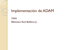 Implementación de ADAM en el ITAM