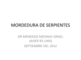 MORDEDURA DE SERPIENTES