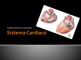 Sistema Cardiaco