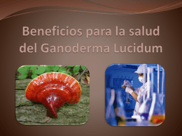 Beneficios para la salud del Ganoderma Lucidum