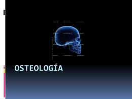 osteología
