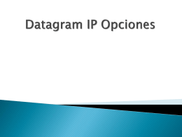 Datagram IP Opciones