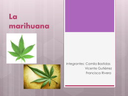 La marihuana disertacion cami 2 (296560)