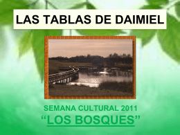 LAS TABLAS DE DAIMIEL