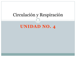 14, Circulación y Respiración introducción