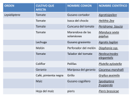 insectos de importancia agricola