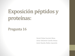 Exposición péptidos y proteínas: pregunta 16 - e