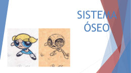 SISTEMA ÓSEO (2556363)