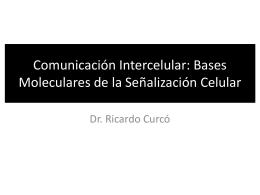 Comunicación Intercelular: Mecanismos de acción de mensajeros