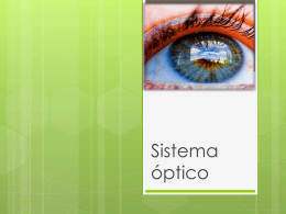 Sistema Óptico. Cavidad Orbitaria. Globo Ocular