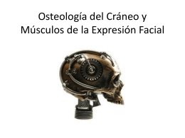 Osteología del Cráneo y Músculos de la Expresión