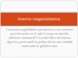 Anemia megaloblastica
