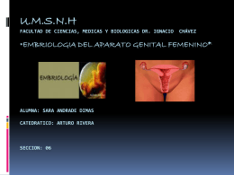 embriologia del aparato genital femenino