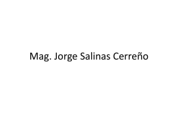 Mag. Jorge Salinas Cerreño