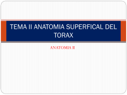 ANATOMIA SUPERFICAL DEL TORAX