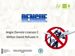 dengue protocolo