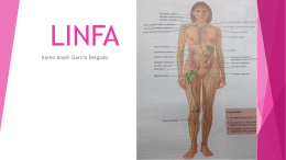 LINFA - Anatomía y Fisiología Humana