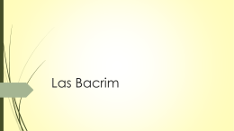 Las Bacrim