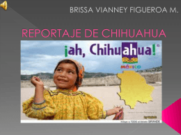 REPORTAJE DE CHIHUAHUA