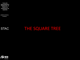 the square tree(andres estrada)