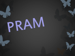 pram - WordPress.com