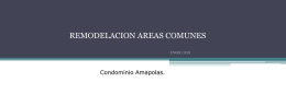 Remodelación Áreas Comunes - Comunidad Parque Amapolas
