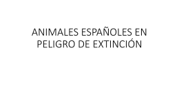 ANIMALES ESPAÑOLES EN PELIGRO DE EXTINCIÓN