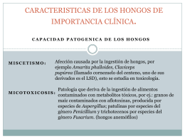 CARACTERISTICAS DE LOS HONGOS DE IMPORTANCIA CLÍNICA.